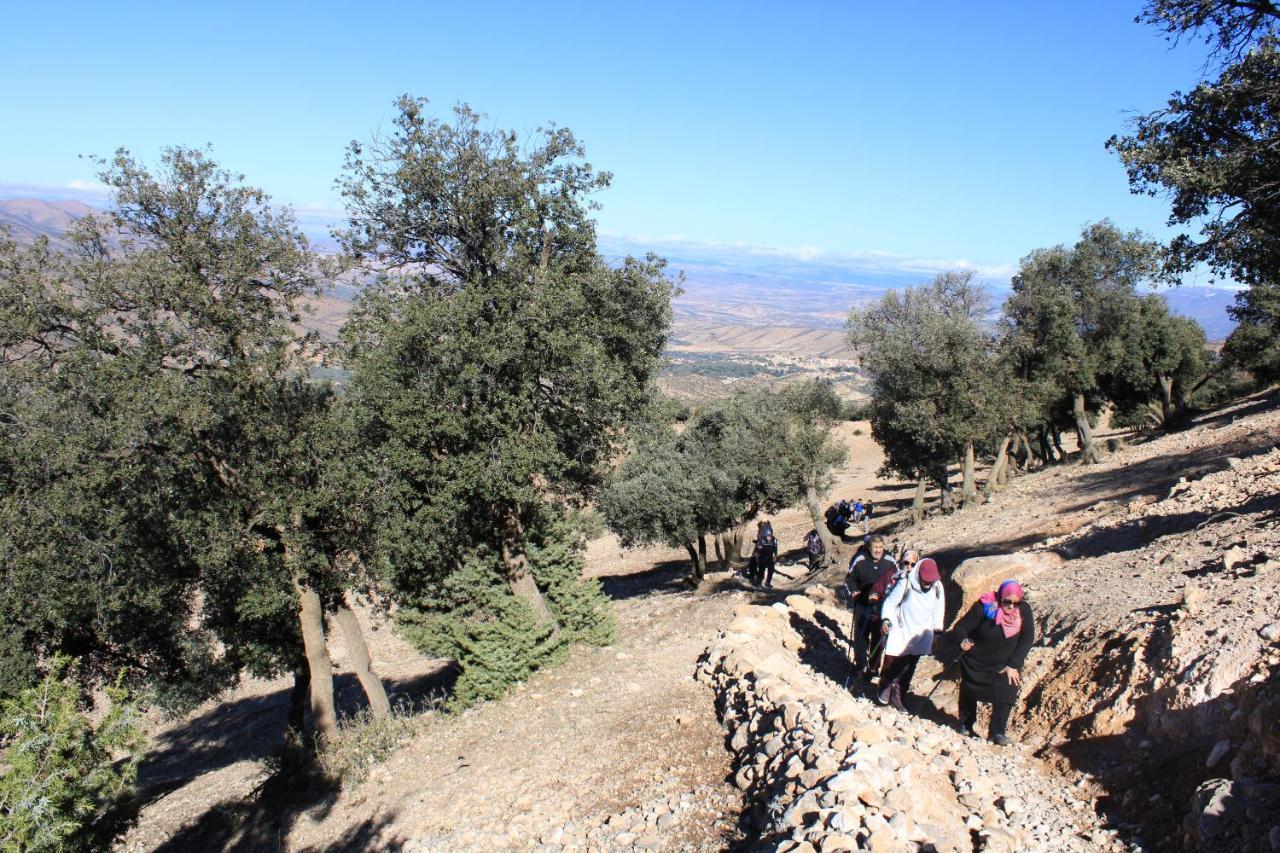Gite Skoura Caid Bou Malla المظهر الخارجي الصورة
