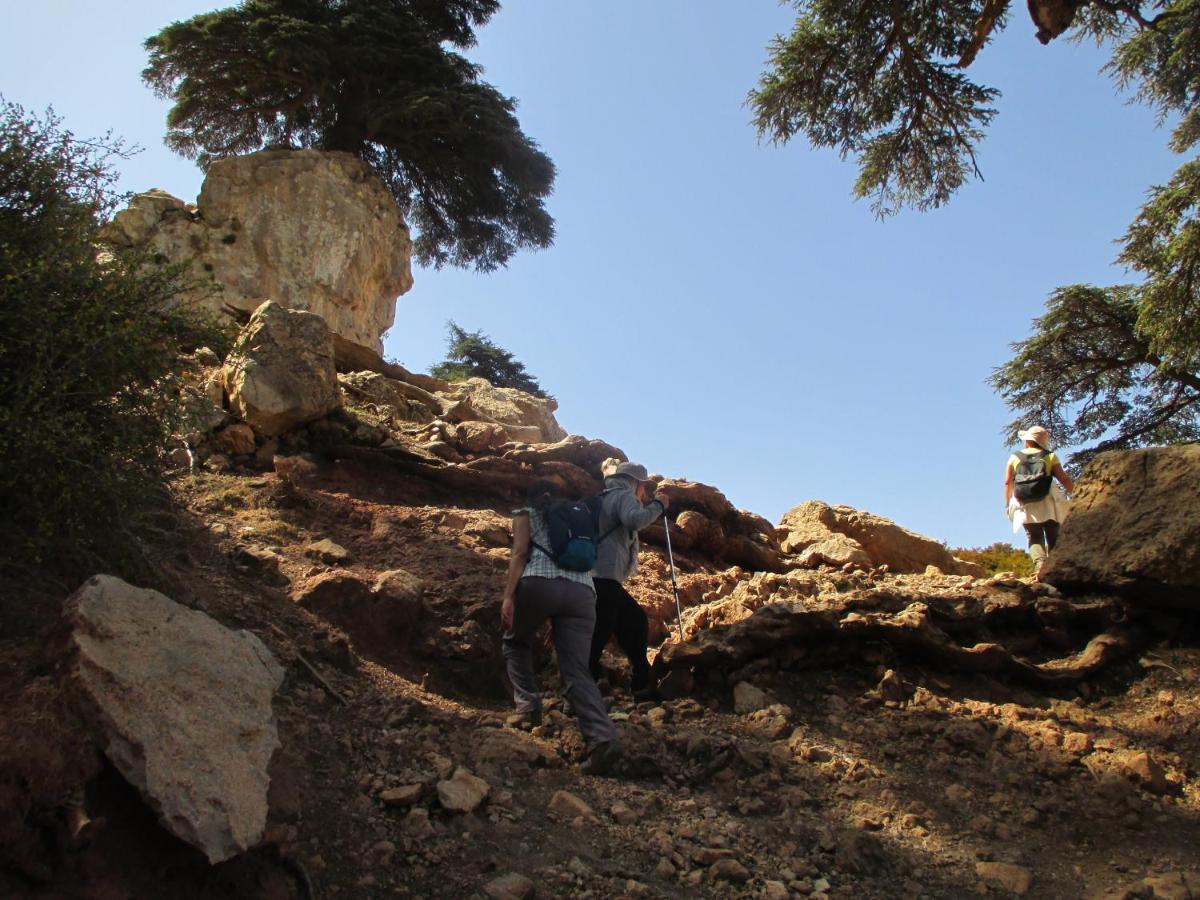 Gite Skoura Caid Bou Malla المظهر الخارجي الصورة